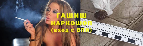 стаф Аркадак