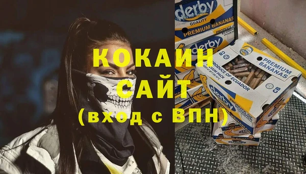 шишки Переславль-Залесский