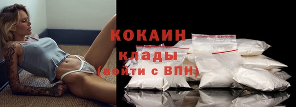 амф Пересвет