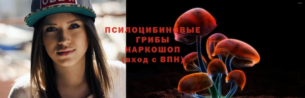 ПСИЛОЦИБИНОВЫЕ ГРИБЫ Осинники